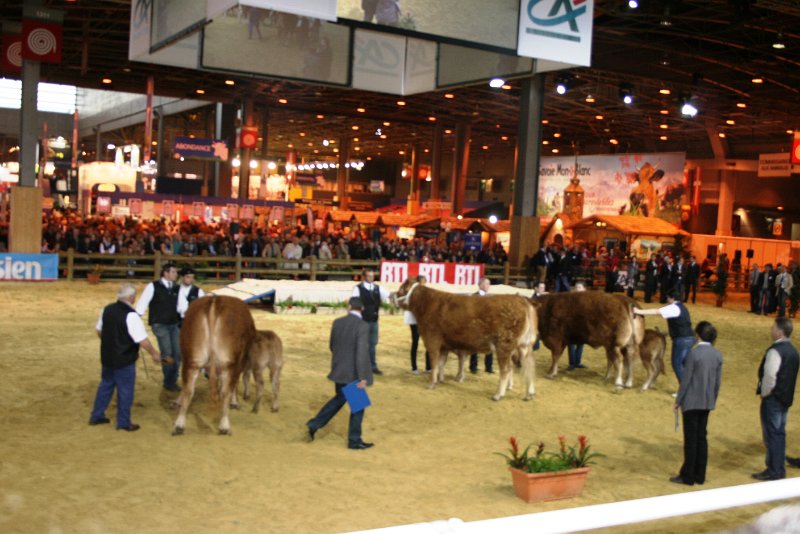 cga 2012 004.JPG